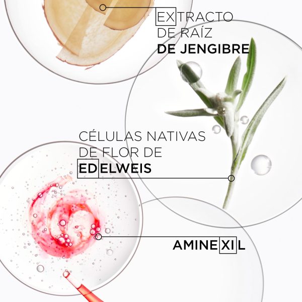 Shampoo Kérastase Genesis Nutri Fortifiant Cabello Seco 500ml - Imagen 2