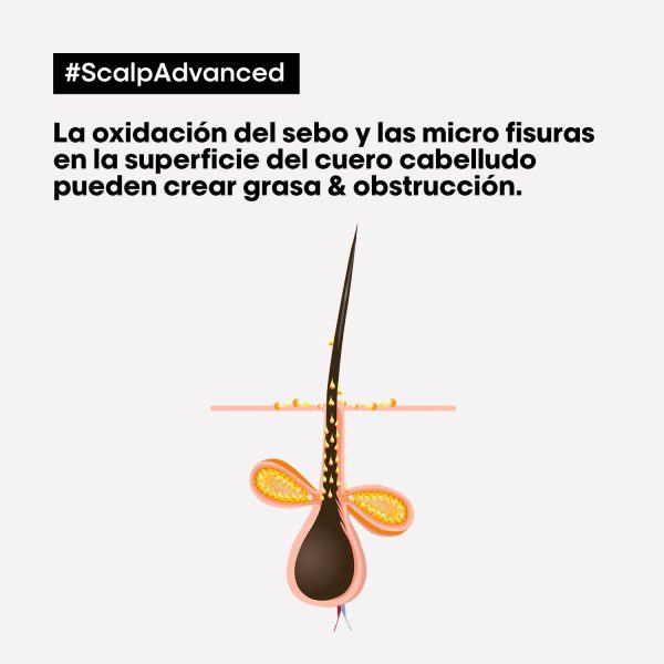 Arcilla Purificante Scalp Advanced 2 en 1 Anti Oleosidad - L'Oréal Professionel 250 ml - Imagen 2