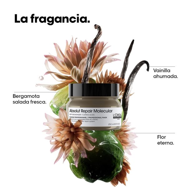 Mascarilla Reparadora Absolut Repair Molecular - L'Oréal Professionel 250 ml - Imagen 2