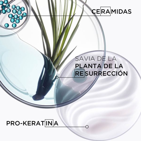 Mascarilla Kérastase Résistance Force Architecte, Repación cabello dañado 200ml - Imagen 3