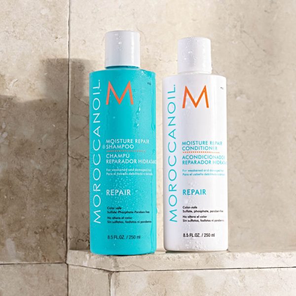 Shampoo Reparador Hidratante Moroccanoil 250 ml - Imagen 3