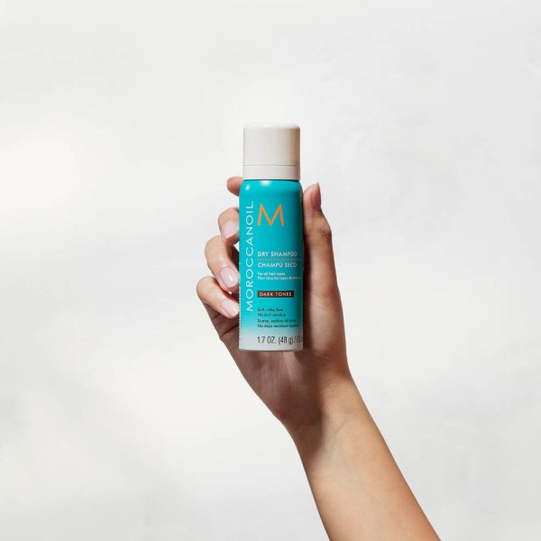 Shampoo Seco Tonos Oscuros Moroccanoil 65 ml - Imagen 2